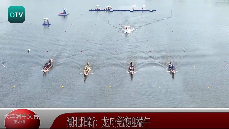 湖北阳新：龙舟竞渡迎端午